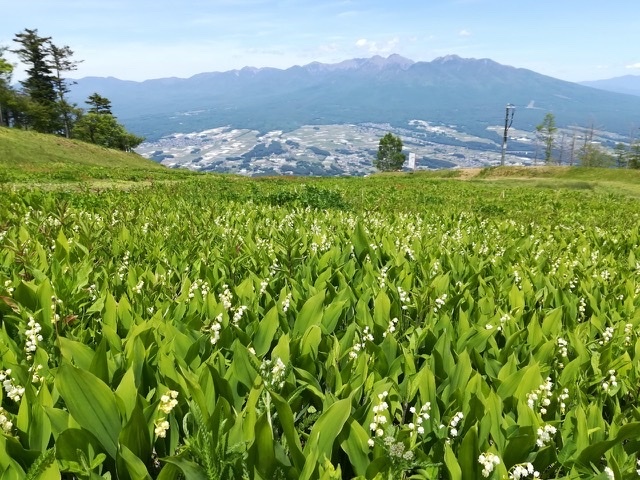 入笠山_a0067744_20402372.jpeg