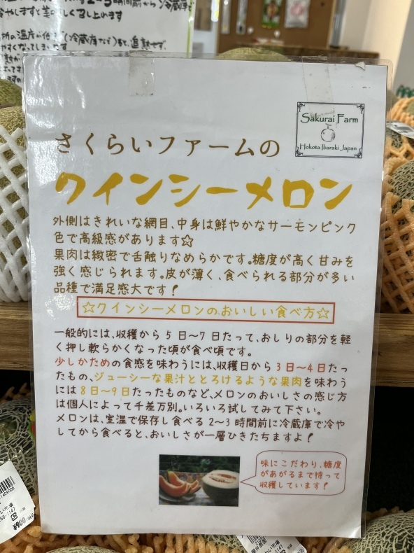 大洗まいわい市場 メロン生産者櫻井さんに聞きました!_a0283448_13101464.jpeg