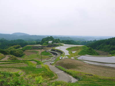 菊池水源棚田米 水にこだわる匠の田植え(2022)_a0254656_17305827.jpg