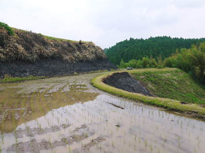 菊池水源棚田米 水にこだわる匠の田植え(2022)_a0254656_17355416.jpg