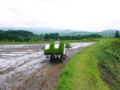 菊池水源棚田米 水にこだわる匠の田植え(2022)_a0254656_17382677.jpg