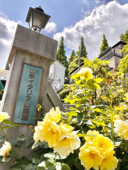 5/22、横浜へバラを見に（前編）_e0045768_22194655.jpg