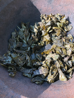 杜仲茶作り_f0363168_17084471.png