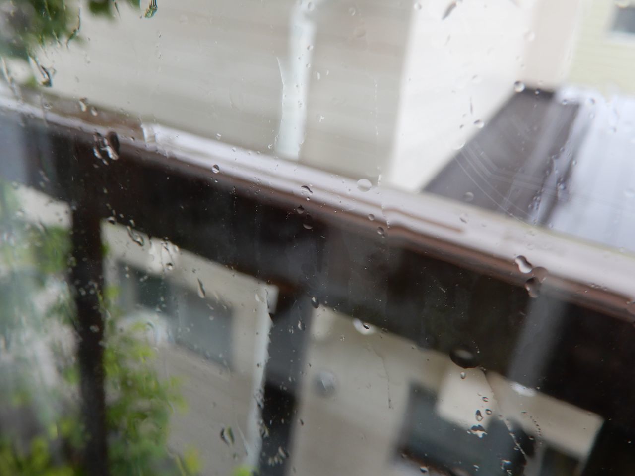 雨の一日_c0025115_20500475.jpg