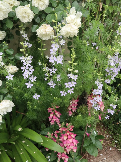 次の日は静岡と愛知よん♪･････その3_b0331802_22574166.jpg