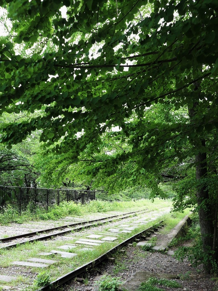 水無月の京都、東山散策（蹴上・水路閣）_a0147281_11461160.jpg