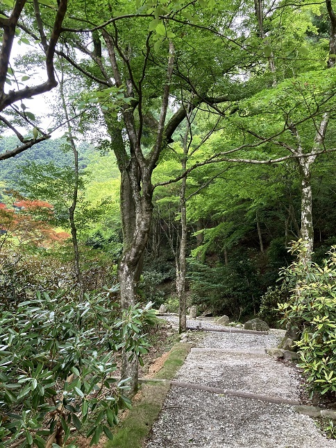 社寺・庭園探訪：英彦山④（英彦山大権現）_f0202785_19243599.jpg