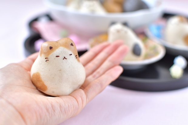「和菓子の日」の、猫饅頭とポケモンGOの練り切り_d0025294_17370211.jpg