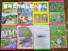 お馴染みの青葉小学校　「空堀川学習」_a0258102_11335426.jpg