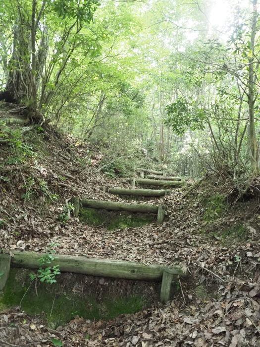 窓ヶ山登山(白川登山口ー往復)_c0116915_23413084.jpg