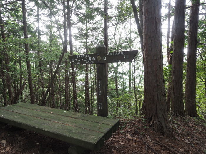 窓ヶ山登山(白川登山口ー往復)_c0116915_23425665.jpg