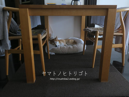 てんばつ_e0394031_07184580.jpg