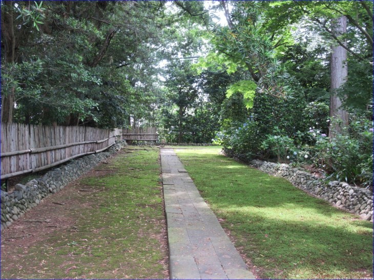 医王寺の紫陽花と鎌田兵衛正清供養塔_c0376508_19513990.jpg