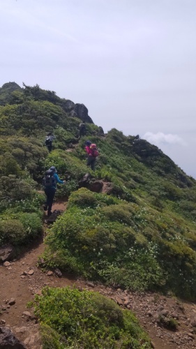 ユキワリコザクラ会いに来たよ不忘山_a0309917_13085123.jpg
