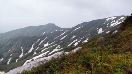 ユキワリコザクラ会いに来たよ不忘山_a0309917_21123984.jpg