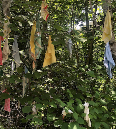 ルルドの泉ならぬ「目の泉」が、目に関する問題を洗い流してくれる! @フランス・エロー県_a0231632_02404344.png