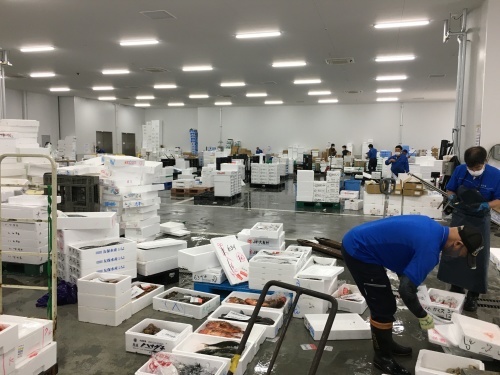 早起きは三文の徳　京都中央市場探検_b0153663_13335951.jpeg