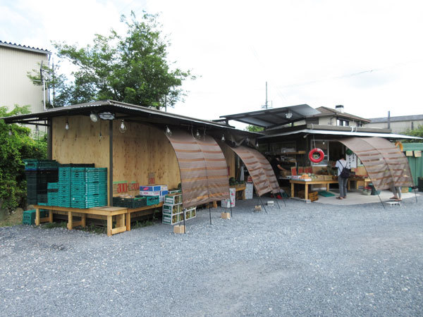 八百屋のケンちゃん 肥田店_c0152767_20291950.jpg