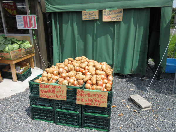 八百屋のケンちゃん 肥田店_c0152767_20422003.jpg