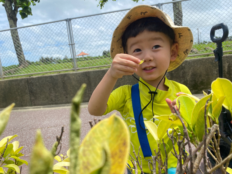 青空ようちえん〔平日〕今日はひとりで冒険デビュー!僕だけの水族館ができた!_d0363878_08055366.jpg