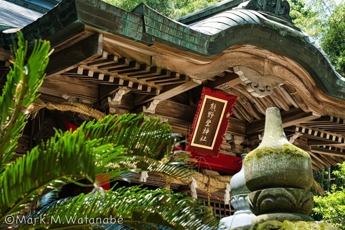 横島熊野座神社-本堂_e0135098_19322128.jpg