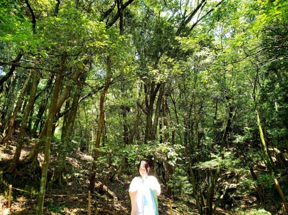 鹿児島対面指導 リクエスト受付中です_a0167003_14481894.jpg