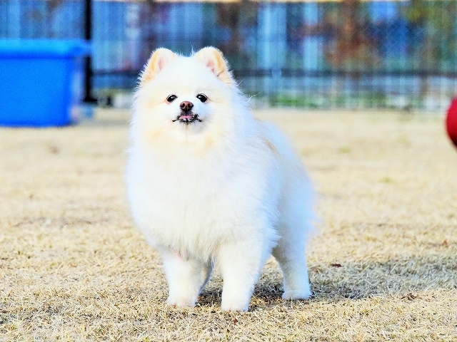 忘れられない病院での出来事_d0360206_19350877.jpg