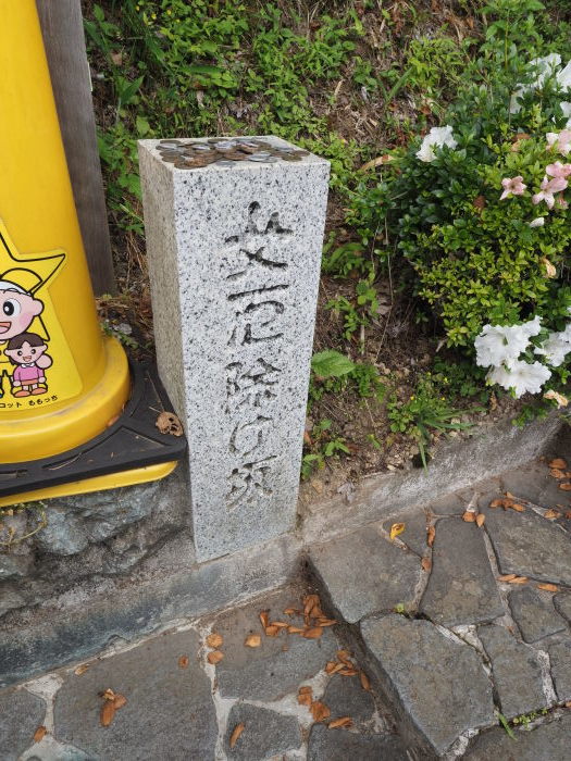 玉泉寺へ、オオヤマレンゲを見に_c0116915_23585549.jpg