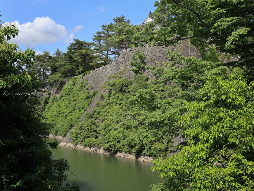 高石垣_c0235725_06054948.jpg