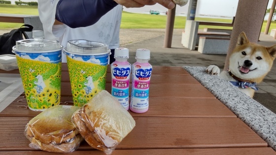 海ごはん_e0394031_06085976.jpg