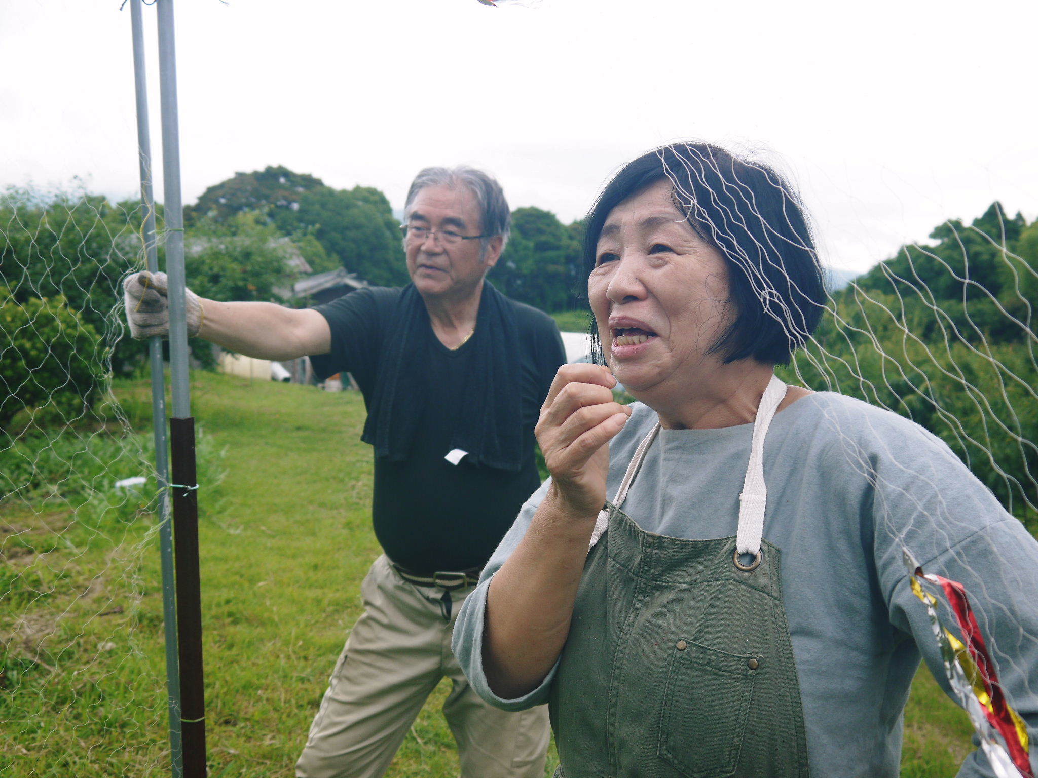 熊本県菊池水源産の無農薬で育てた『フレッシュブルーベリー』の新規販売に向けて!_a0254656_17580657.jpg
