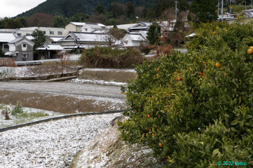 雪の里を歩く_e0366896_22140530.jpg