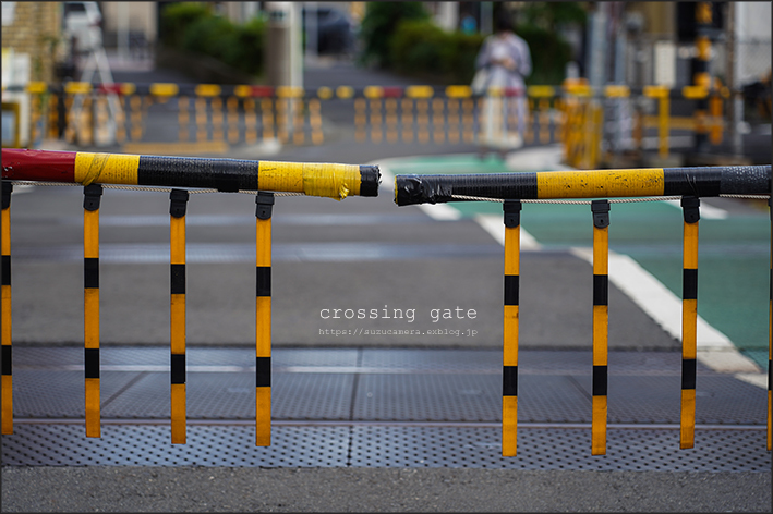 crossing gate_f0100215_20060230.jpg