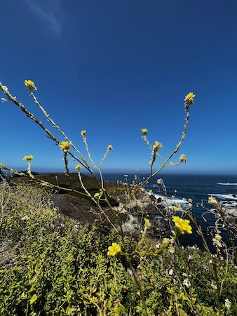 2022年6月20日(月) Drive to Big Sur ①_e0067416_15193998.jpeg