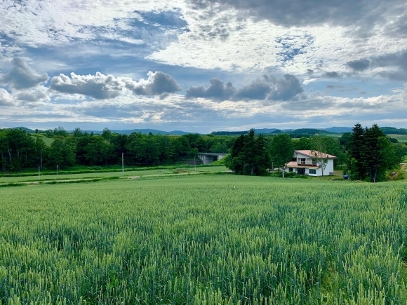 今日の旅の途中&#128522;_f0096216_19283839.jpg