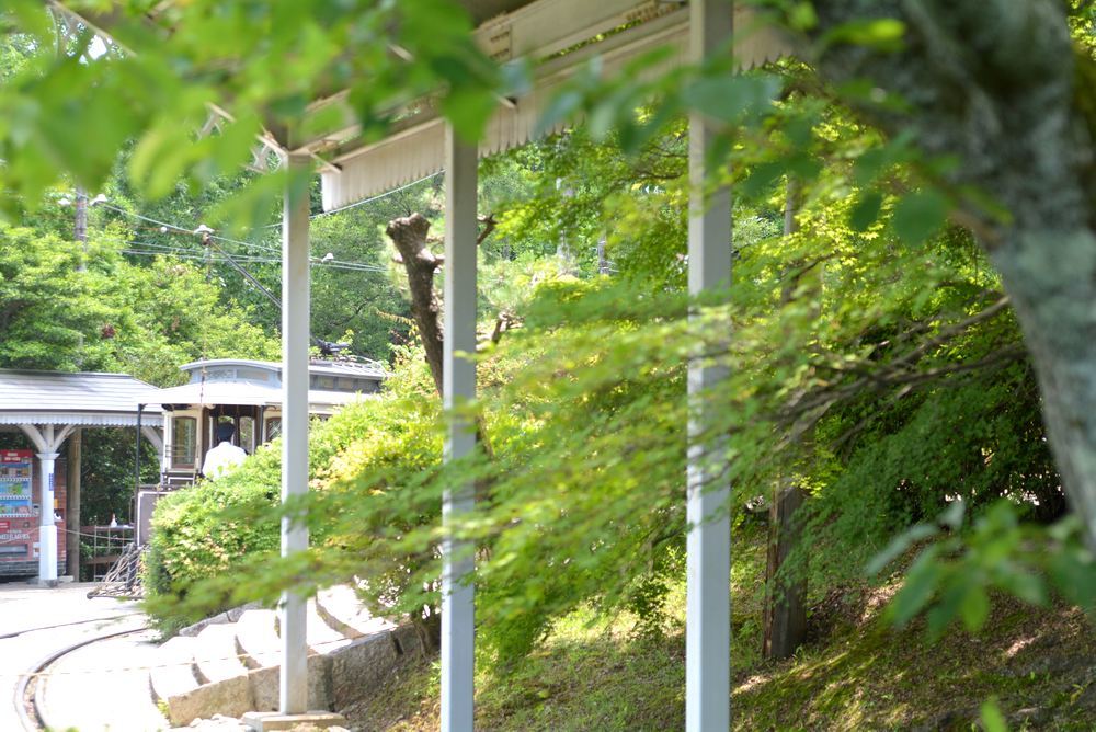 京都市電と初夏の新緑 名古屋電停付近_e0373930_19400861.jpg