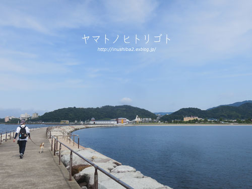 蒲郡_e0394031_06263373.jpg