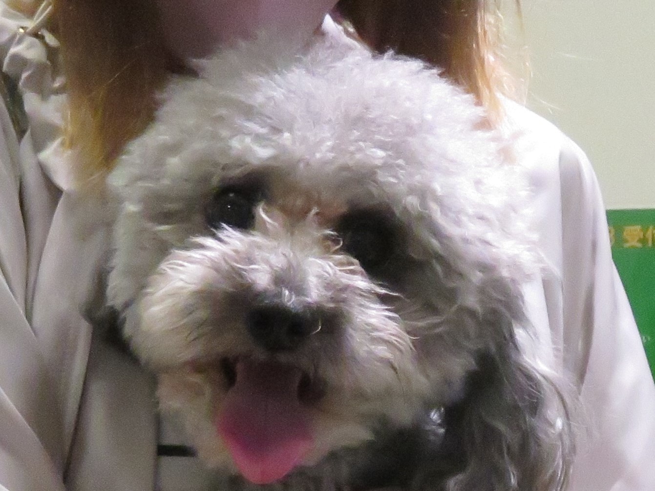 6 月 21 日の写真_c0174644_11553884.jpg