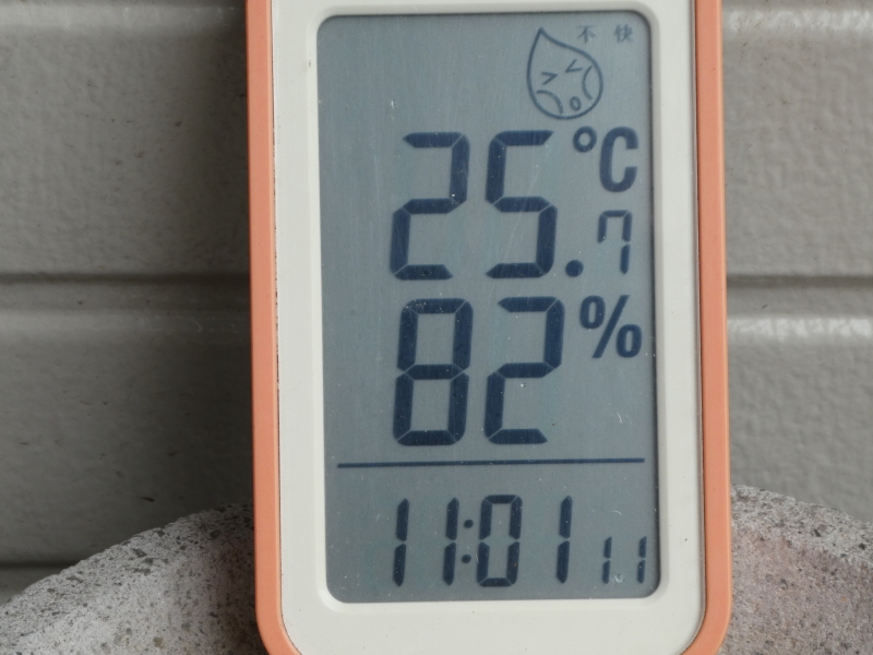 雨も また 良し_c0108460_12053777.jpg