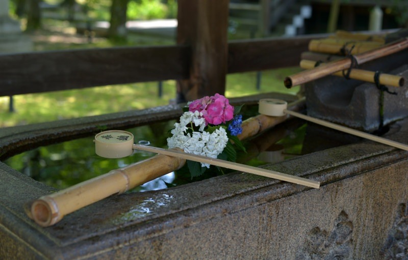 貧乏物語」 ー 河上肇が歩いた真如堂への道？ : 京都迷路案内