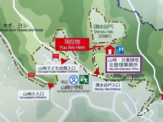 6/4、「山崎・台峯緑地」を散歩、前編_e0045768_21545867.jpg