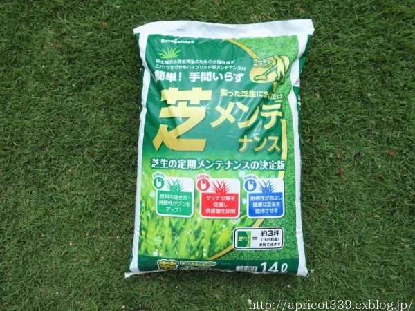 芝生・TM９の初夏のメンテナンス　土壌改良材の散布と芝刈り_c0293787_14504364.jpg