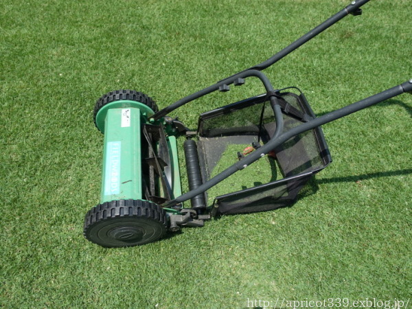 芝生・TM９の初夏のメンテナンス　土壌改良材の散布と芝刈り_c0293787_14541969.jpg