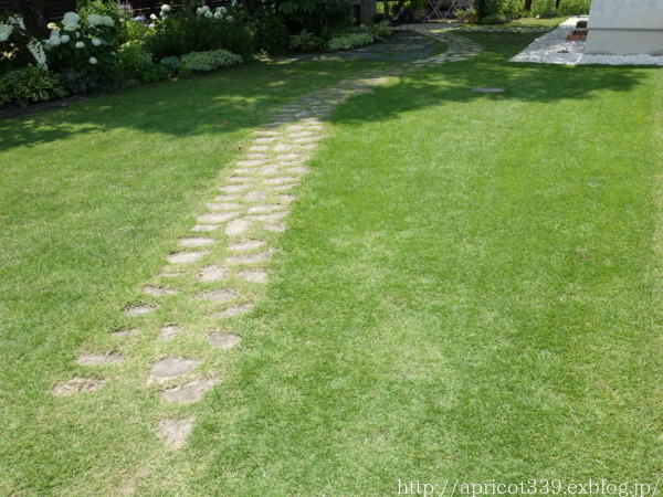 芝生・TM９の初夏のメンテナンス　土壌改良材の散布と芝刈り_c0293787_14564263.jpg