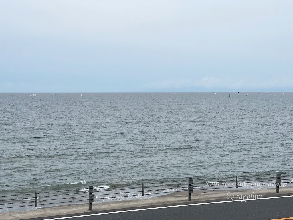 ここは湘南、七里ヶ浜の海を眺めるリストランテ_f0376195_21433513.jpg