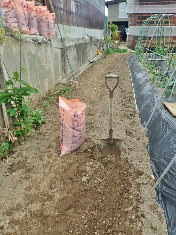 会館の屋上菜園へ土を運びました！_c0336902_21370946.jpg