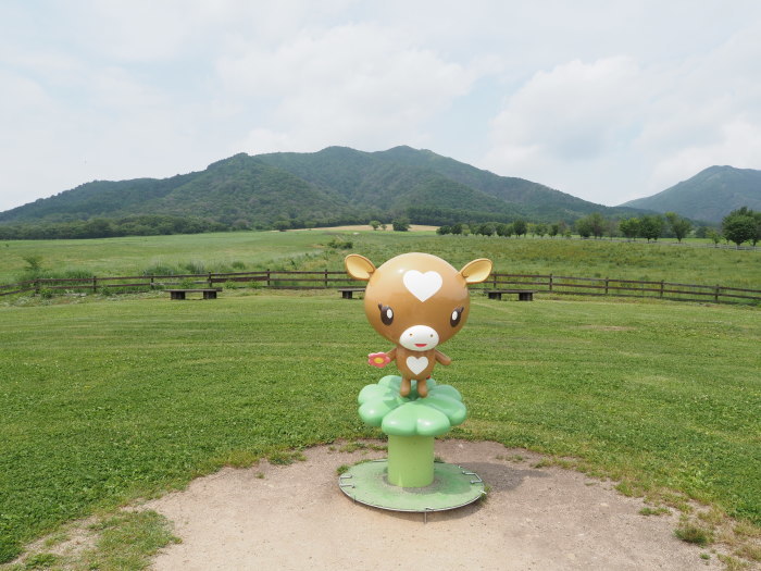 蒜山ジャージランドで、ランチと散策_c0116915_16243264.jpg