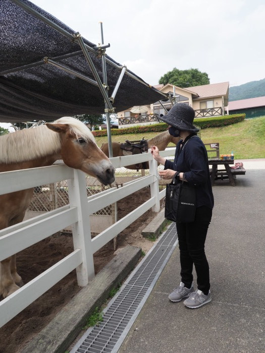 蒜山ジャージランドで、ランチと散策_c0116915_16314544.jpg