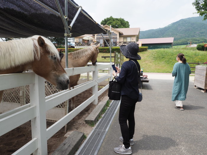 蒜山ジャージランドで、ランチと散策_c0116915_16371189.jpg