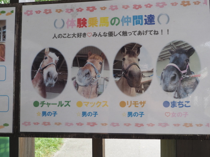 蒜山ジャージランドで、ランチと散策_c0116915_16375808.jpg